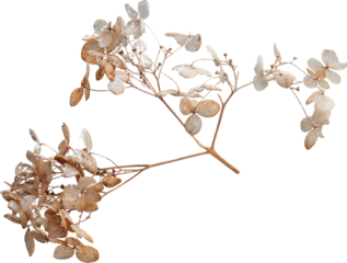 LAYER-LAB_1508182992-01_LC