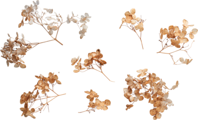 LAYER-LAB_1508182992_LC