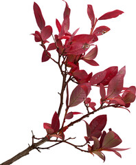 LAYER-LAB_1610192143_LC