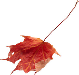 LAYER-LAB_1710228450-01_LC