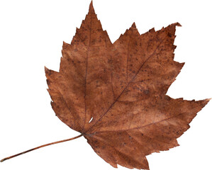 LAYER-LAB_1101186052_LC