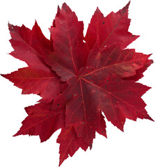 LAYER-LAB_1210191839_LC