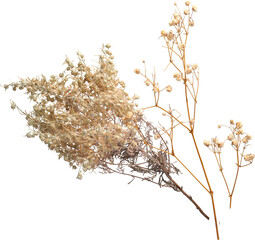 LAYER-LAB_1302226436_LC