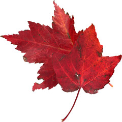 LAYER-LAB_0210181216_LC