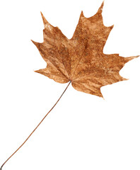 LAYER-LAB_0304183547_LC