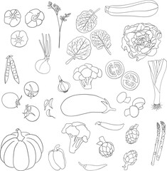 Black line hand-drawn vegetable vector isolated 