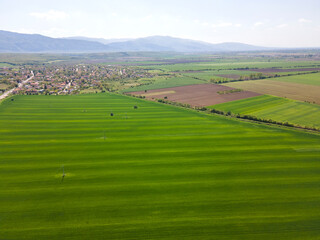 Naklejka premium Aerial view of Upper Thracian Plain near town of Asenovgrad, Bulgaria