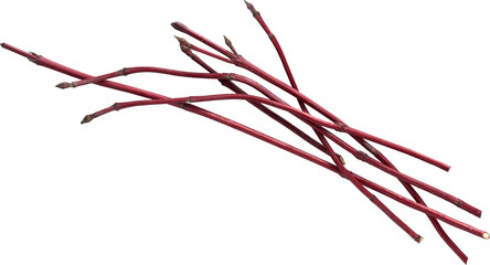 LAYER-LAB_0904202501_LC