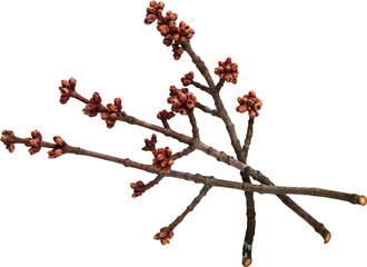 LAYER-LAB_0904202541_LC