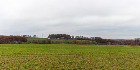 Fototapeta na wymiar Panoramic view of the autumn landscape with fields and forests.
