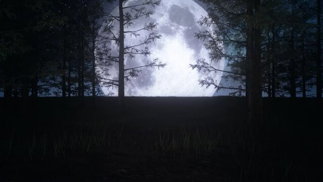 The Moon and the Forest - Loop Landscape Motion Background