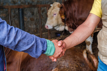 The bargain between the owner and the man who bought the sacrifice for Eid al-Adha is in the animal barn.