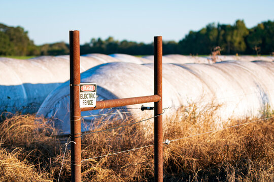 Haylage bales behind electric wire