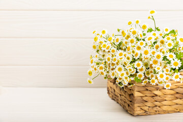 Chamomile flowers in a bamboo basket. Bouquet of summer field flowers. Fragrant white-yellow flowers. Summer concept. Place for text. Copy space. Composition on white background