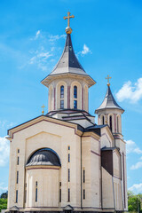 Fototapeta premium Episcopal Cathedral of the Lord Resurrection in Oradea, Romania