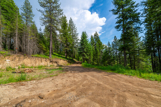 Vacant land and a road and driveway being cleared for a new home high in the mountains of North Idaho near Coeur d'Alene.