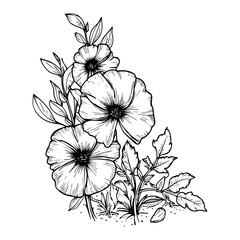 Black outline flowers bush botanical vector illustration. Floral line art drawing.