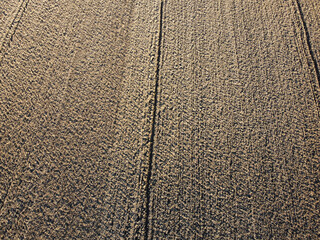 Freshly plowed field ready for seeding and planting. Empty plowed land in early spring. Brown soil, aerial drone view.