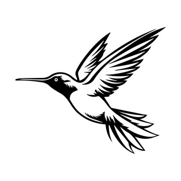 recommend clip art: Black outline silhouette of hummingbird vector art. Bird mascot icon illustration.