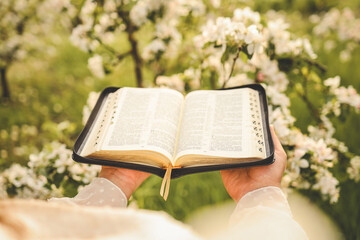 Christian woman holds bible in her hands. Reading the Holy Bible in a field during beautiful...
