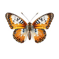 Obraz premium Tropical butterfly isolated. Illustration AI Generative.