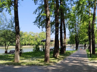 A recreation area for residents of a big city. Park by the Becket Pond in Moscow. A lake and a forest park with walking paths, benches and gazebos. Summer sunny day in the park