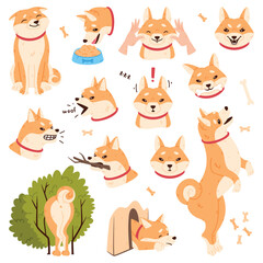 Akita Inu Dog and Domestic Animal or Pet in Different Situation Vector Set