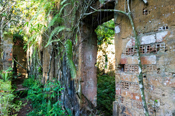 Ruinas de Paricatuba no Amazonas