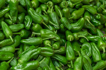 Background of spanish fresh juicy green pepper.