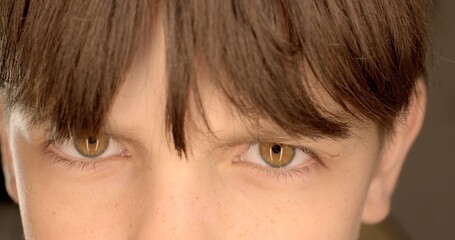 An attentive look of a teenager child, a close-up of a part of the face. He blinks, looks at the...