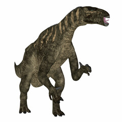 Iguanodon Cretaceous Dinosaur - Iguanodon was a herbivorous ornithopod dinosaur that lived in Europe during the Cretaceous Period.