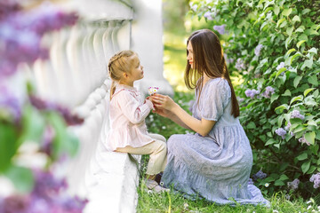 Daughter present flowers Bouquet for her Mother. Little Girl hold Young Woman Nose Giving Chamomiles Present. Family Love and Funny Leisure Time Countryside Landscape. Nature Field on Background