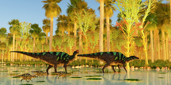 Maiasaura Dinosaurs cross Swamp - Two Maiasaura Hadrosaur dinosaurs escort their young across a swamp during the Cretaceous Period.