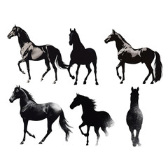 Naklejka premium silhouette of horses isolated on transparent background