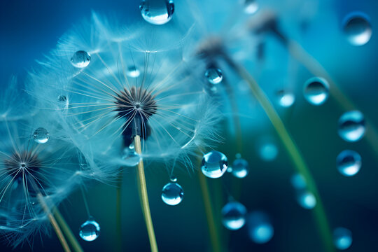 Beautiful water drop on a dandelion flowers. Deep saturated blue and turquoise background, free space for text. Abstract floral background. Generative AI