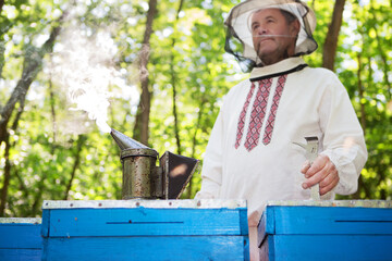 Beekeeper is working with bees and beehives on the apiary. 