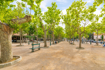 The spacious tree lined Place des Lices town square and park in the historic center of...