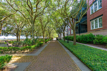Path at Waterfront Park in Charleston South Carolina near the Pineapple Fountain