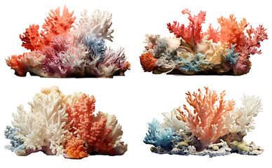 Set of sea coral, coral reef on the transparent background PNG. Top view. AI generative.