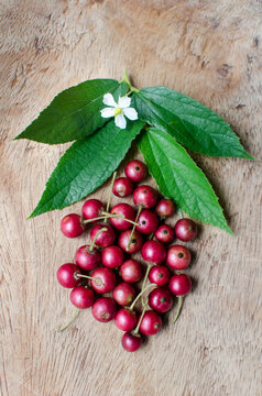 Jamaica cherries on a wooden background