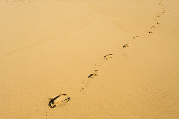 Footprints of bare feet on the sand on the beach.