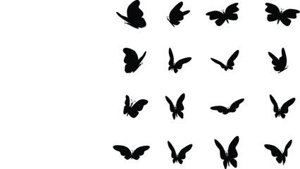Plakat butterfly silhouette, group of butterflies, black and white, wildlife