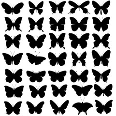 butterfly silhouette, group of butterflies, black and white, wildlife