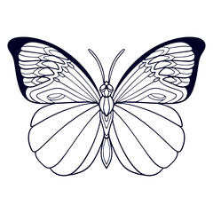 butterfly silhouette, group of butterflies, black and white, wildlife