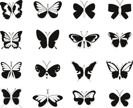 butterfly silhouette, group of butterflies, wildlife, black and white