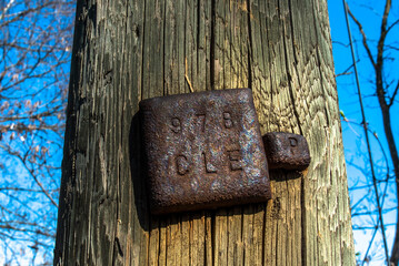 2023 03 18 Valsanzibio rust