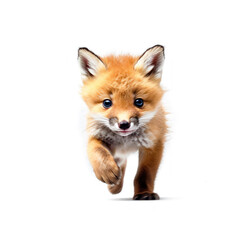 Fototapeta premium Adorable Cute Funny Baby Fox Kit Animal Running Close Up Portrait Photo Illustration on White Background Nursery, Kid's, Children's room, pediatric office Digital Wall Print Art Nature Generative AI