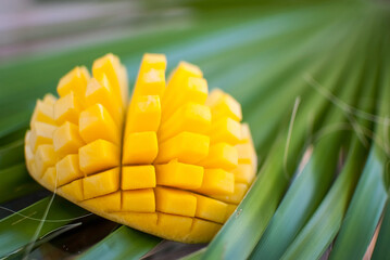 Sliced pineapple with palm leaf