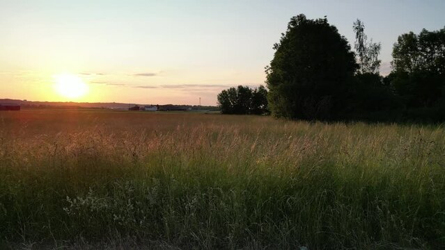 Germany, Bavaria, Allgaeu, drone flight over the meadow in the sunset