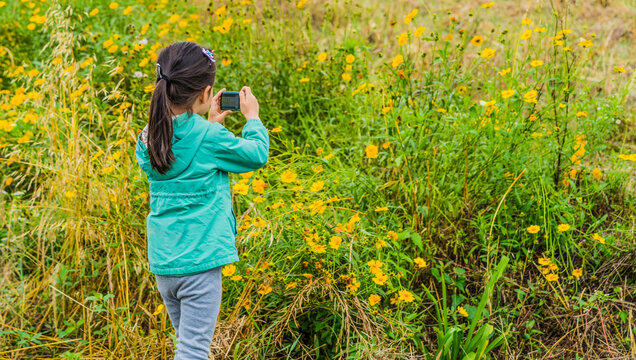 Chinese girl taking pictures of wild flowers